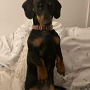 megan_C