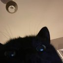 LivApples