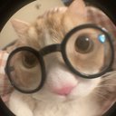 pearlyzein