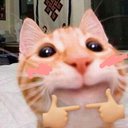 alliecat_4