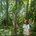 annaporep