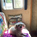 LLeah605
