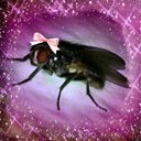 gwilow