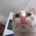 sjjzhao