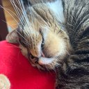 peaches102