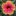 Aubrie_233