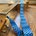 Blueknot