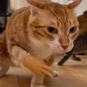 magiclynx