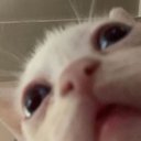 isalleba_