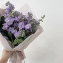 mehr_29_11