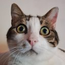 litlemisko