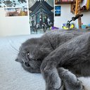 itsnoodle