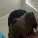 Donidk