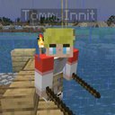 star_dsmp
