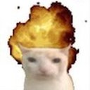 jessie_