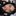 Aldana_
