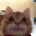marsssi