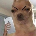 novapainx