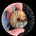 david_axx