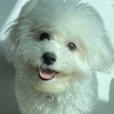 soyisdy