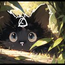 Pawcat