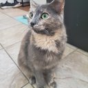 kora47421