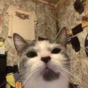 casey_m