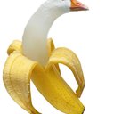 BananaGoos