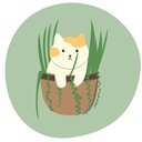 datchan