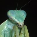 kur