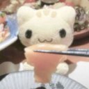 EnvyKitty