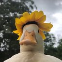 Kelybee