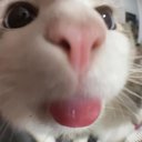 millie_918