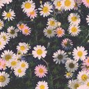 ClaireMe_3