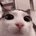 DjMeowz