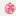 noura_knot