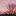 pigs_55