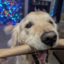roccotaco