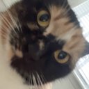 emilymix1