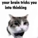 The0ddcat