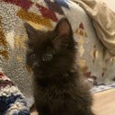 Londyn_123