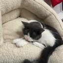zenny_
