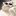 meowspider