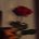 account482