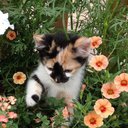 Andrea_065