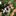 Andrea_065