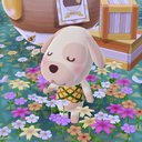 goldieacpc