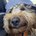 RubyGrace