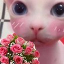 SirMeowser