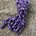 Embroider2